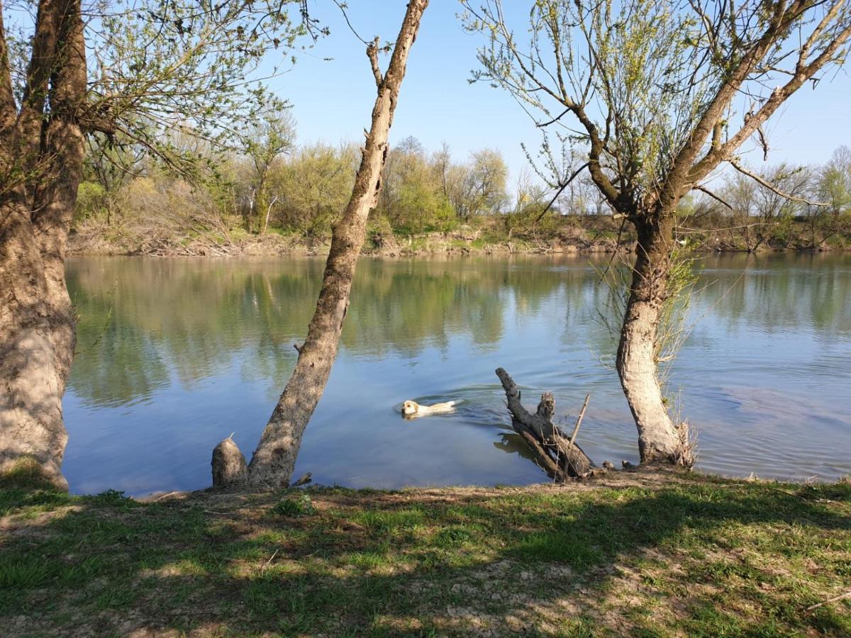 Guest House Studio Apartman Marina - With Jacuzzi, Free Parking, Pet Friendly Karlovac Exterior foto