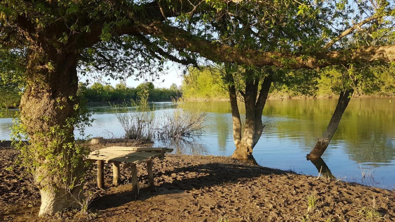Guest House Studio Apartman Marina - With Jacuzzi, Free Parking, Pet Friendly Karlovac Exterior foto